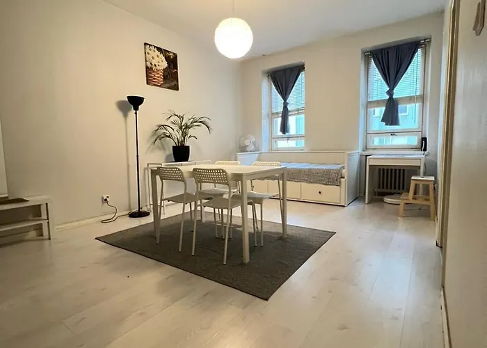 Moderni Siisti Studio Koti Jossa Modernit Kalusteet